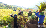 Deep bonds between troops and people in Vietnam’s Northwest region